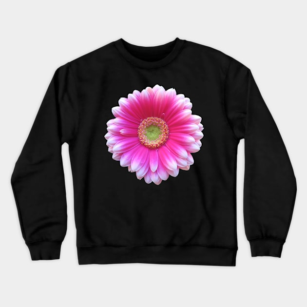 gerbera flower, daisies, gerberas, daisy, bloom Crewneck Sweatshirt by rh_naturestyles